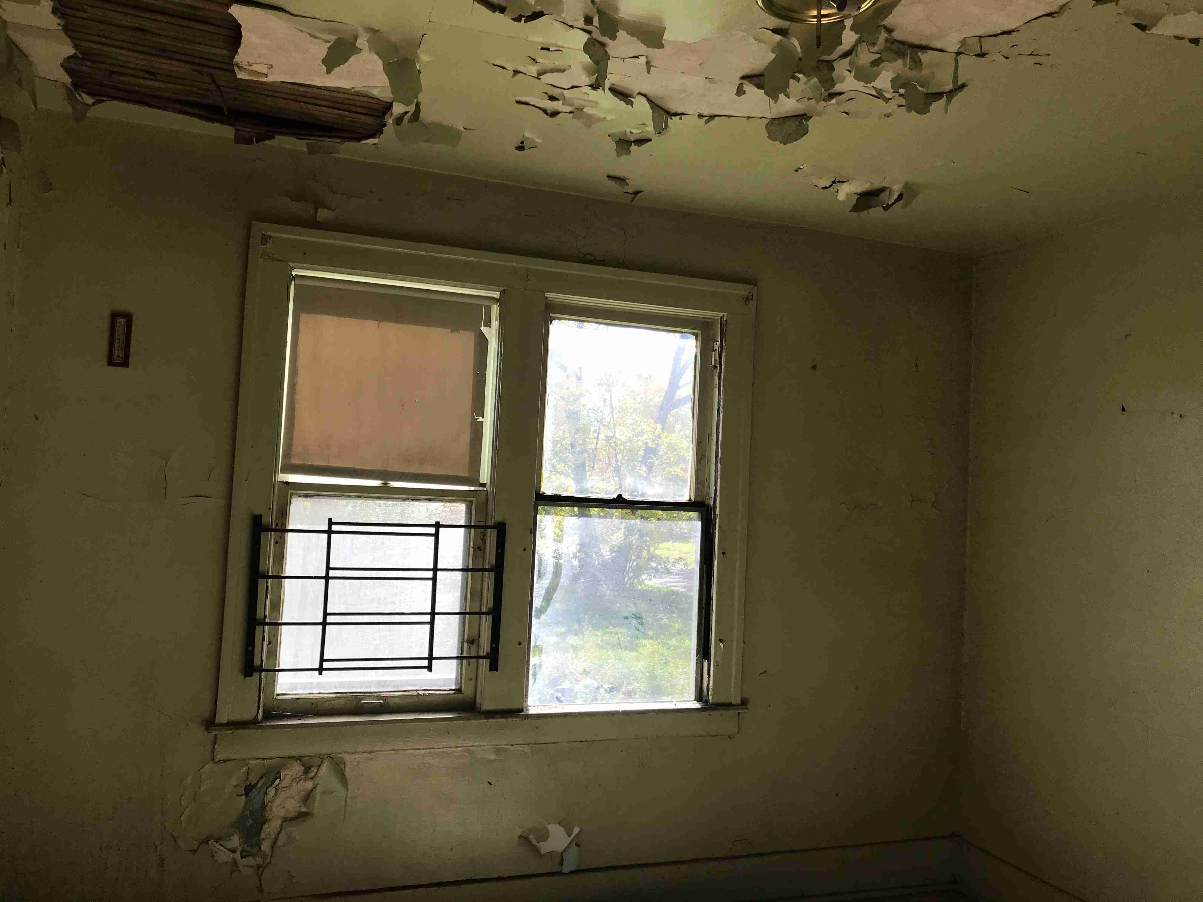 Photo Oct 13, 12 35 57 PM.jpg